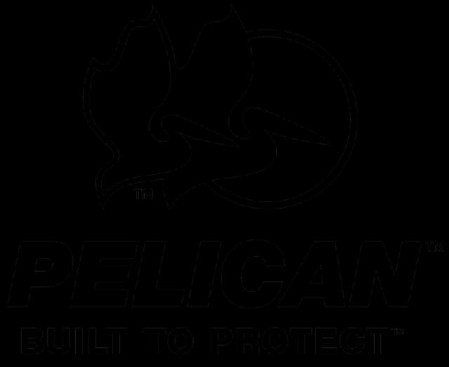 Imagen pelican.webp